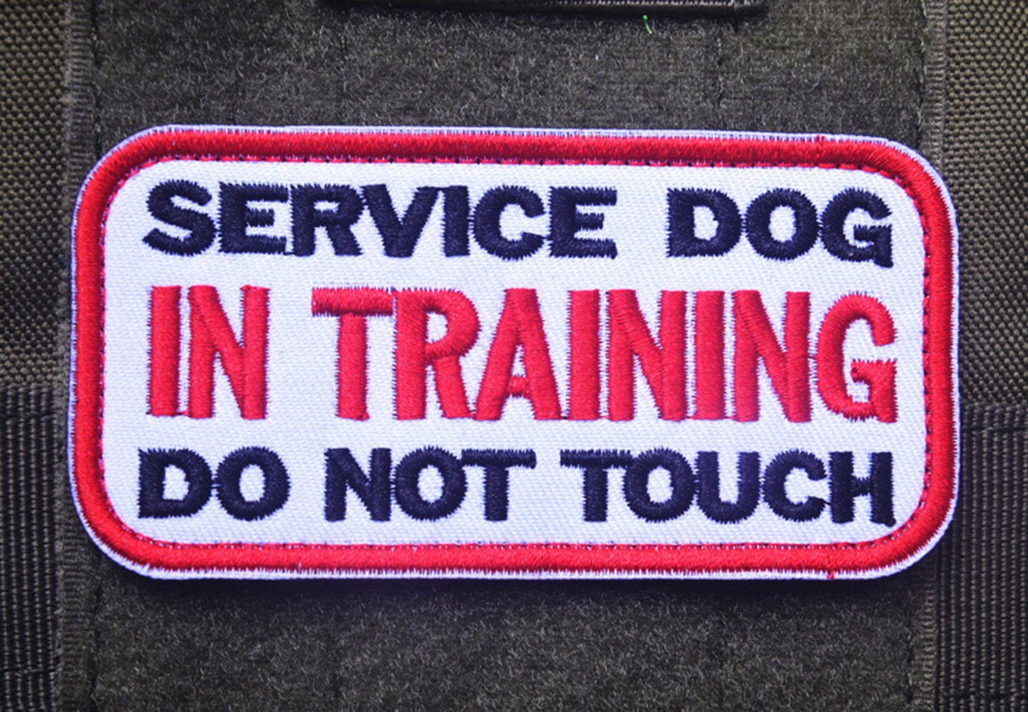 3.94 x 1.96 Inch Service Dog in Training Do Not Touch Dog Patches Tactical Military Badge Emblem Embroidered Fastener Hook Loop Patches Appliques for Harnesses Vests - Image 4