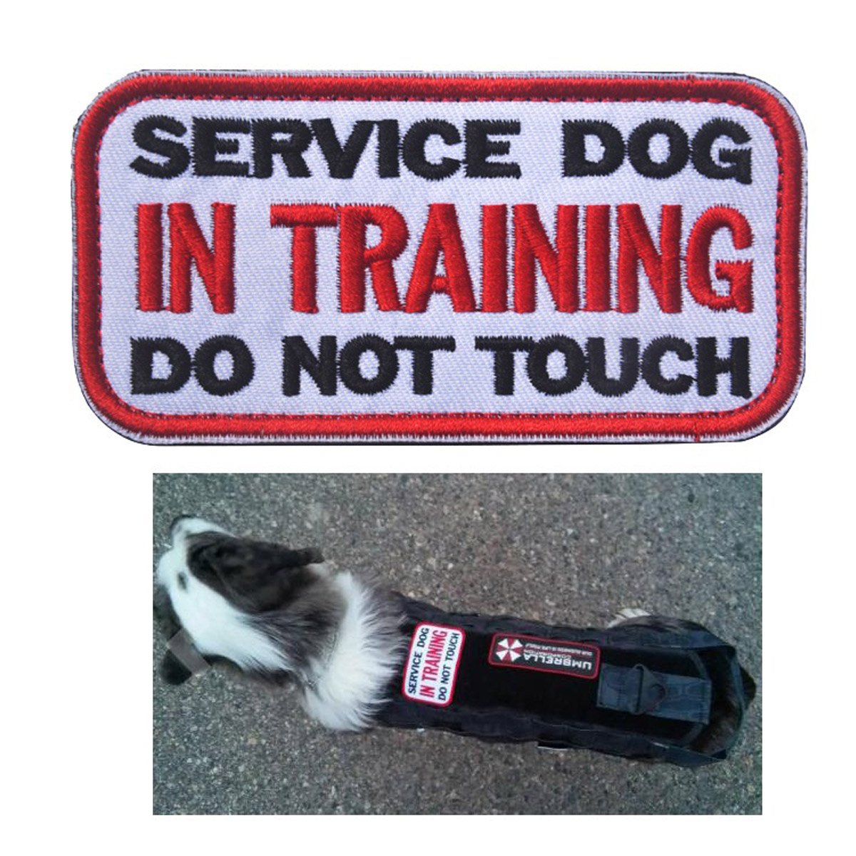 3.94 x 1.96 Inch Service Dog in Training Do Not Touch Dog Patches Tactical Military Badge Emblem Embroidered Fastener Hook Loop Patches Appliques for Harnesses Vests - Image 7