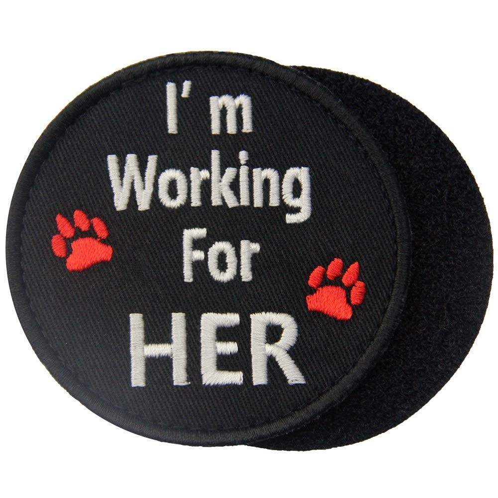 Service Dog No Touch No Talk Warning, Not All Disabilities are Visible, I'm Working for Her Tactical Military Morale Badge Embroidered Patches Appliques with Fastener Hook Loop Backing - Image 3