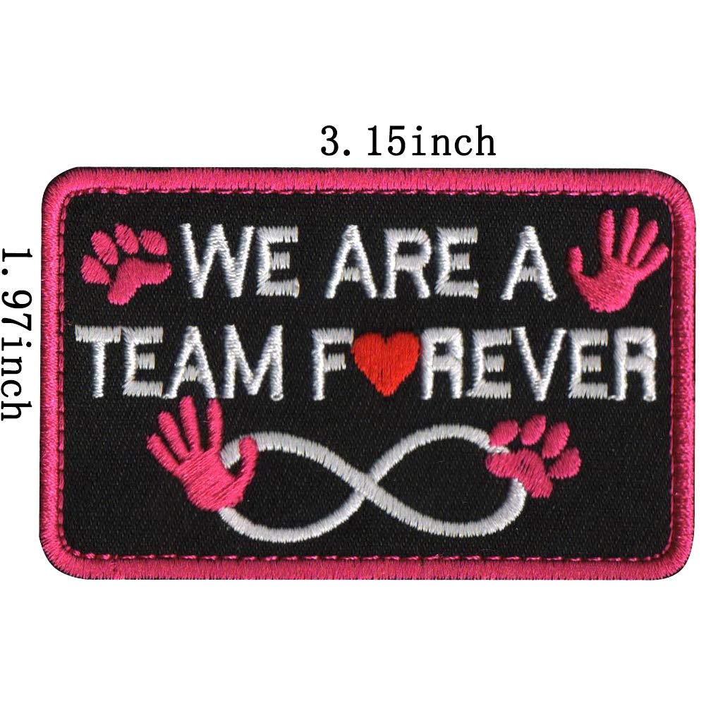 Service Dog Patch Not All Disabilities are Visible, Do My Job Not for Your Entertainment, Medical Alert, If Handler is Down, We are A Team Forever, Do Not Distract Fastener Hook and Loop Patches - Image 8