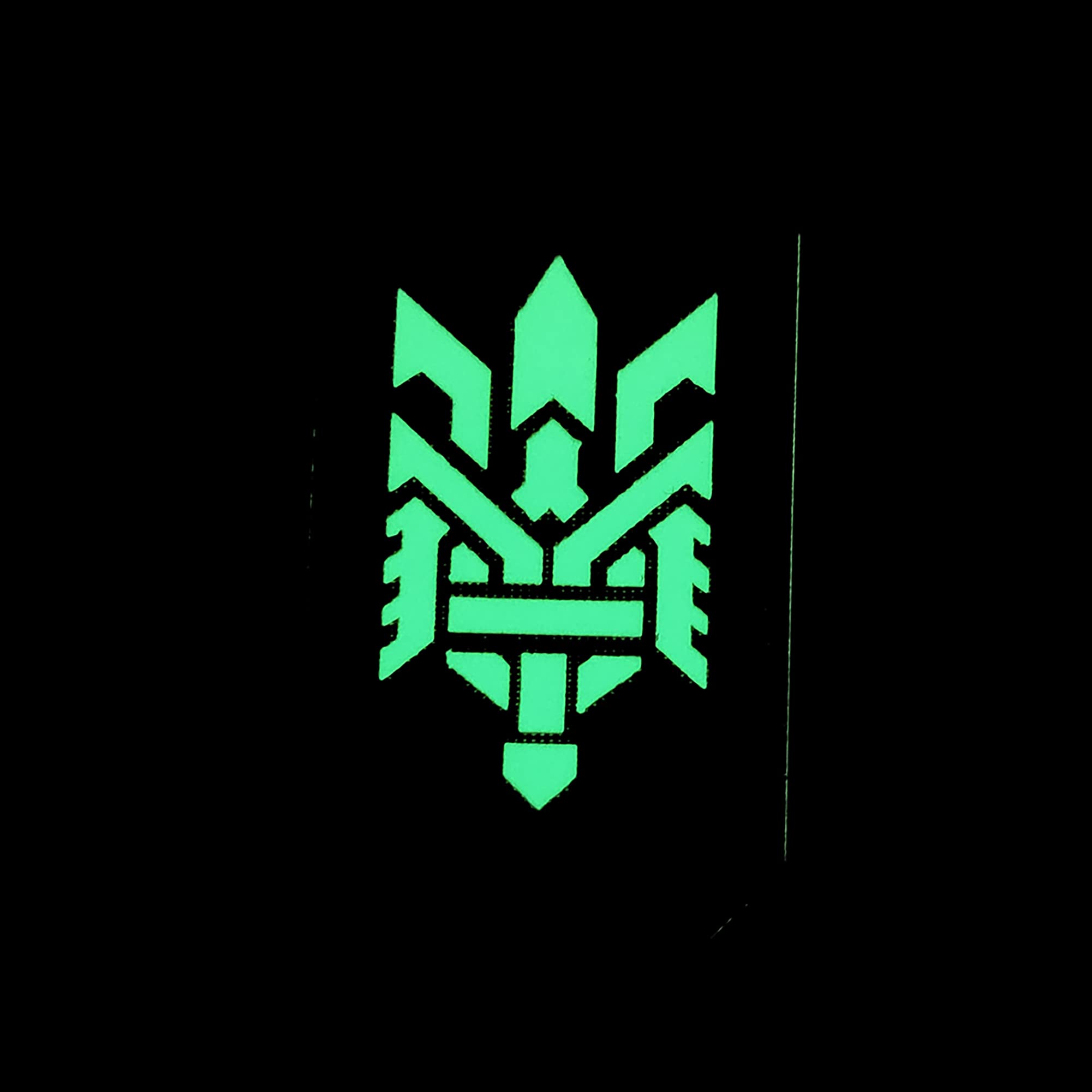 Ukraine Trident Glowing Dark Patches Military Tactical Luminous Patch Appliques Emblem Badges Hook and Loop Fastener Backing - Image 2